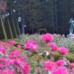 Permier plan flou lors d'un stage photo pour associations