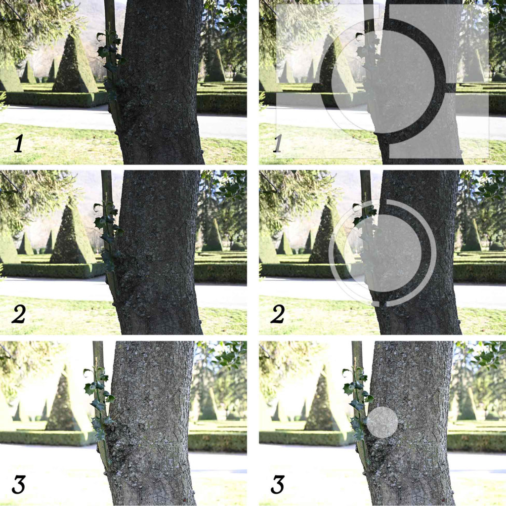 Modes de mesure de la luminosité en photographie